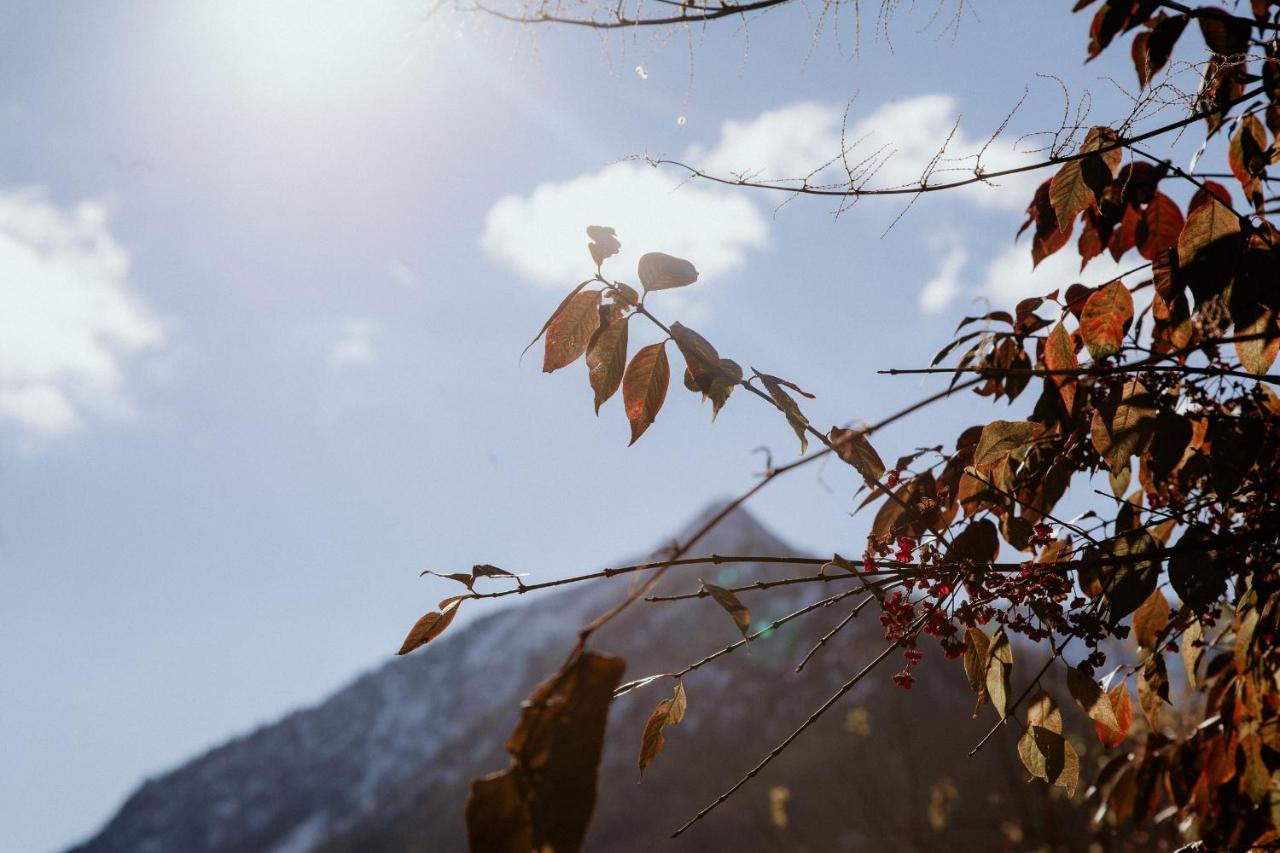 Mountain Mama Ferienhaus Schliersee Εξωτερικό φωτογραφία